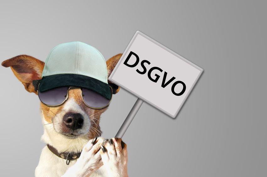 Hund mit Schild DSGVO – Datenschutz-Grundverordnung